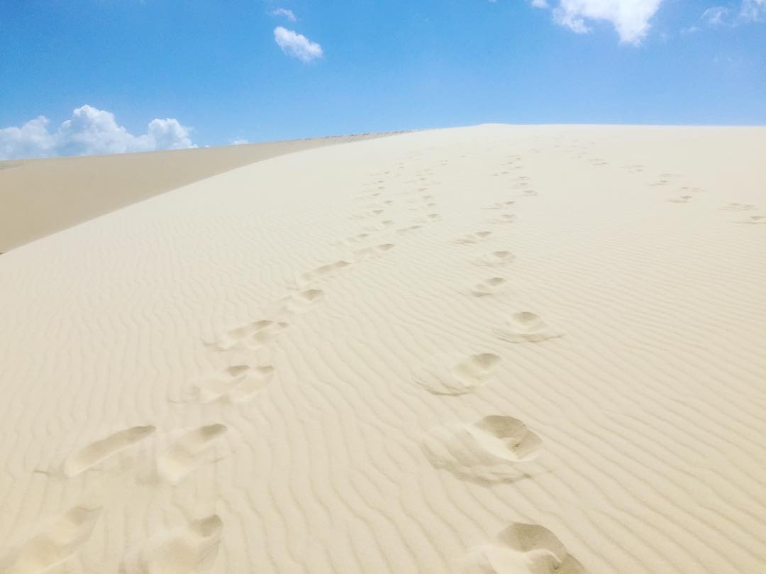 Dunas
