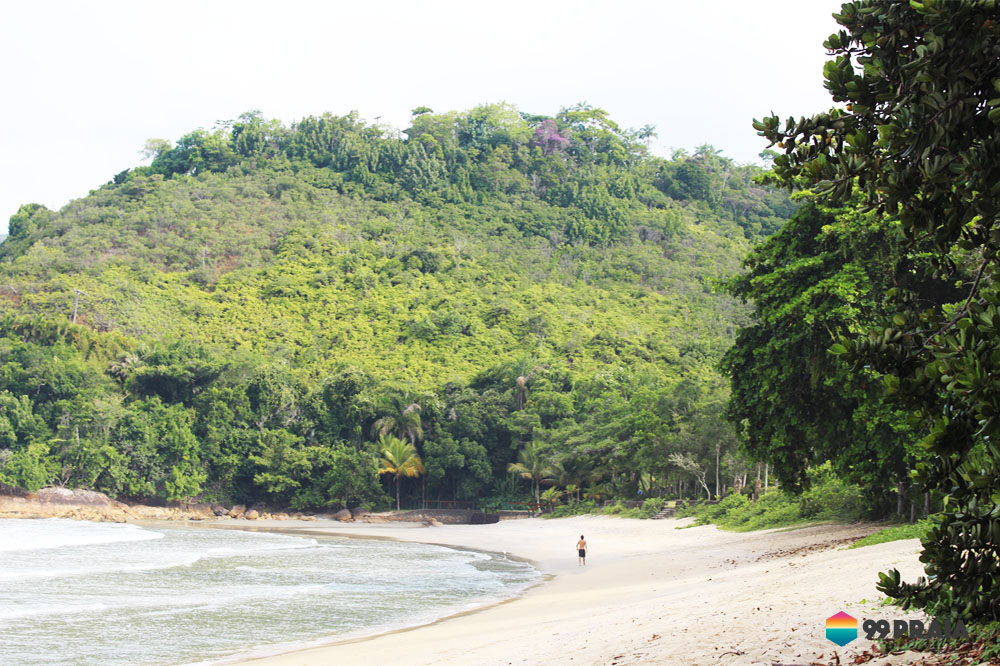 Praia Brava do Sul / Oiapoque
