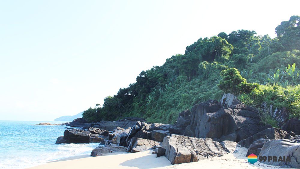  Praia Grande do Bonete / Oiapoque