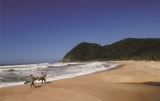 Praia JurÃ©ia do Norte