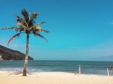Praia Martin de SÃ¡