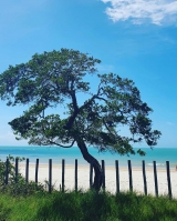 Praia Ponta de Itaquena