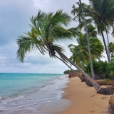 Praia Ponta de Mangue / Oiapoque
