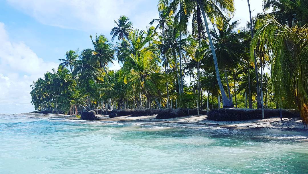  Praia Ponta de Mangue / Oiapoque