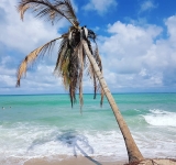 Praia Pontal de MaracaÃ­pe 