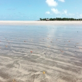 Praia Pontal de MaracaÃ­pe 