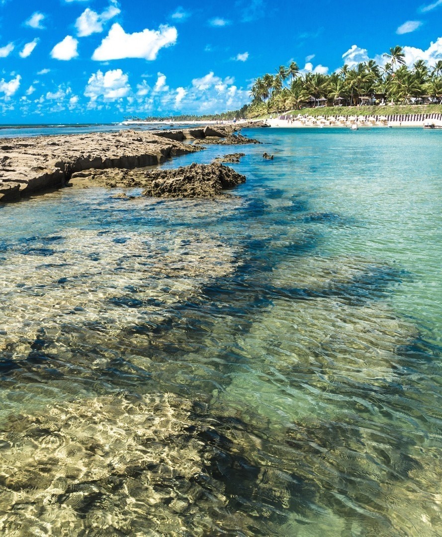 Praia Porto de Galinhas