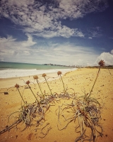 Praia Via Costeira / Oiapoque