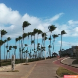 Praia da ArmaÃ§Ã£o