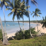 Praia da Cueira / Oiapoque