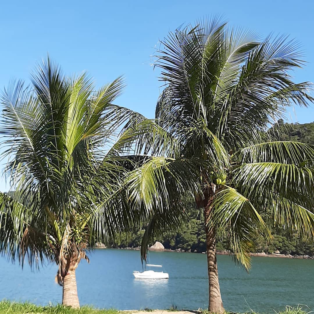 Praia da Junqueira