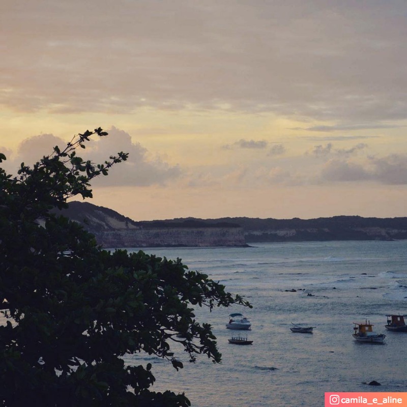  Praia da Pipa / Oiapoque