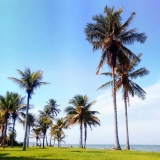 Praia da Pontinha