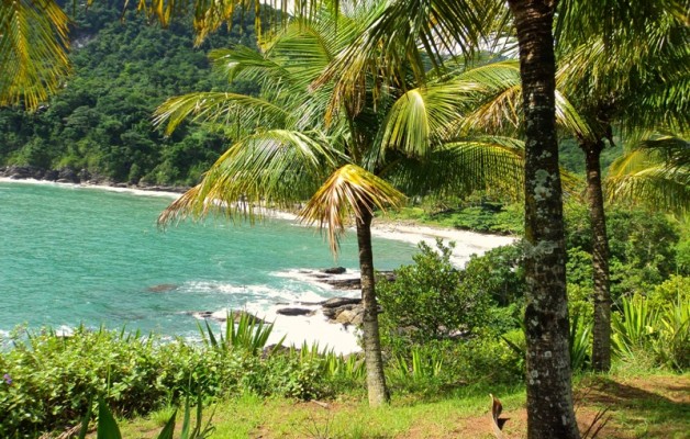  Praia das Calhetas / Oiapoque