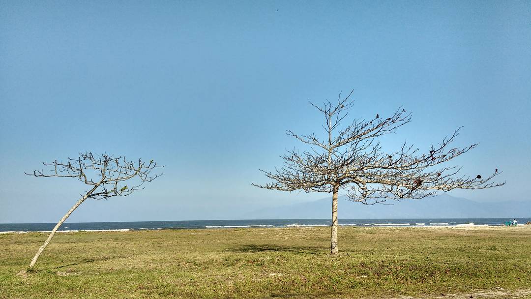 Praia das Palmeiras
