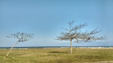 Praia das Palmeiras / Oiapoque