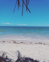 Praia de Acaú
