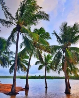 Praia de Barra de Gramame / Oiapoque