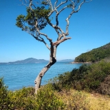 Praia de Bombinhas / Oiapoque