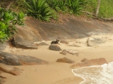 Praia de Fora / Oiapoque