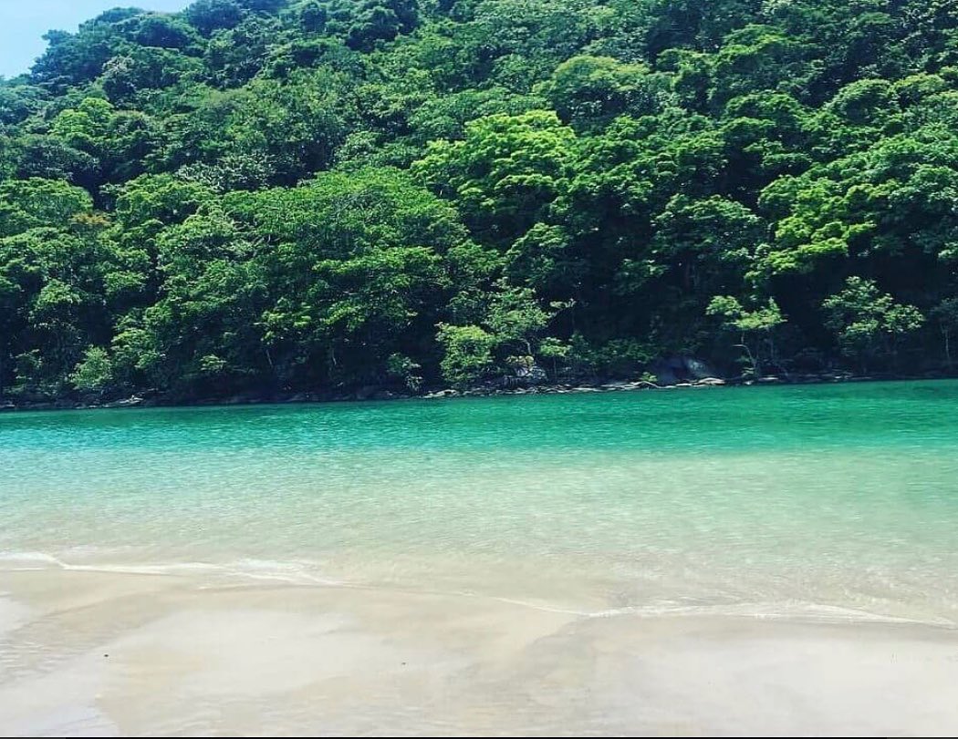  Praia de Guaratuba / Oiapoque