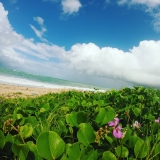 Praia de Guaxuma / Oiapoque