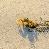 Praia de Itacimirim