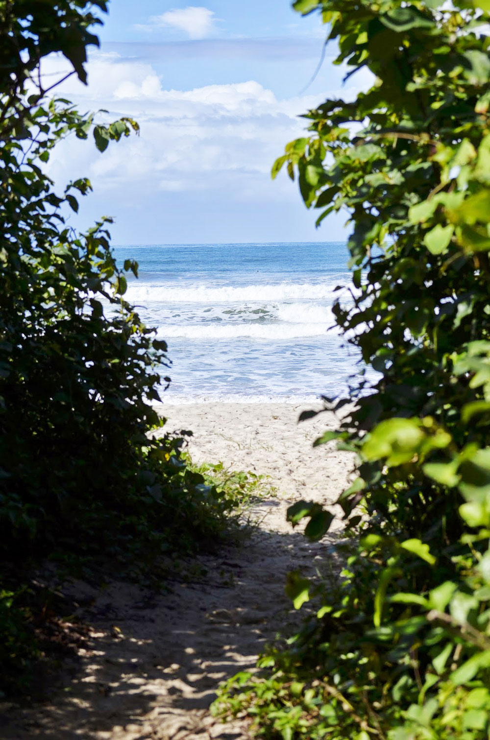  Praia de Itamambuca / Oiapoque