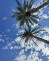 Praia de Juquehy