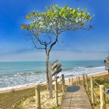 Praia de MassaguaÃ§u