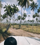 Praia de Muro Alto / Oiapoque