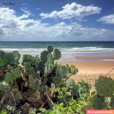 Praia de Patamares / Oiapoque