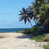 Praia de PirambÃºzios