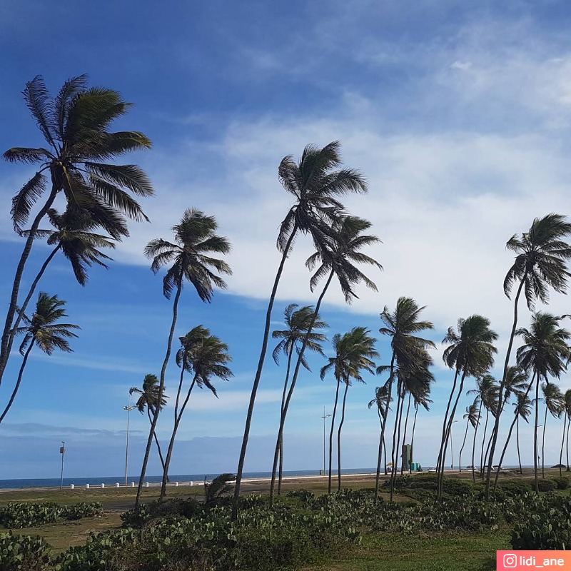 Praia de PituaÃ§u