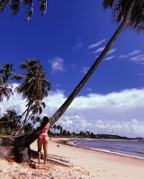 Praia de Sonho Verde