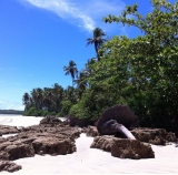 Praia de Tassimirim / Oiapoque