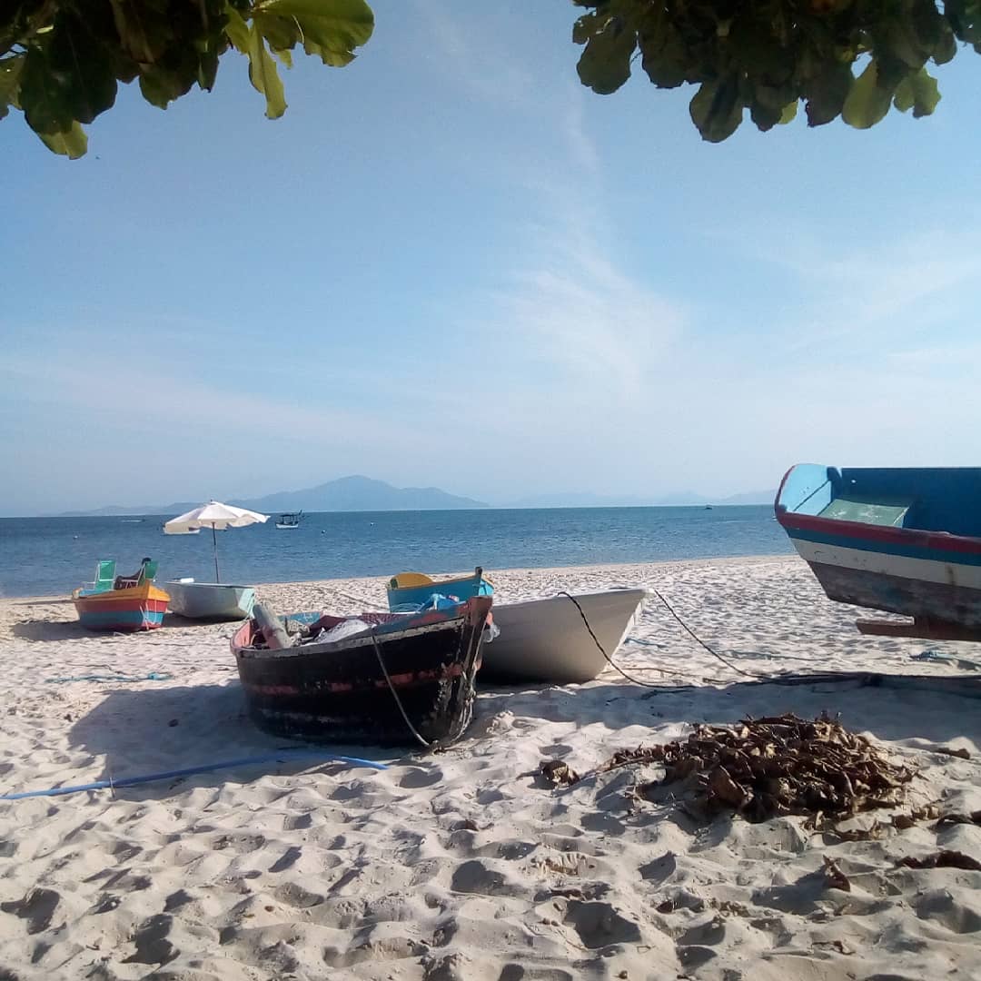  Praia de Zimbros / Oiapoque