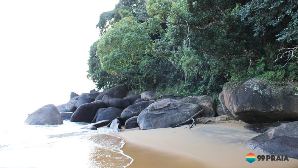  Praia do Bonete / Oiapoque