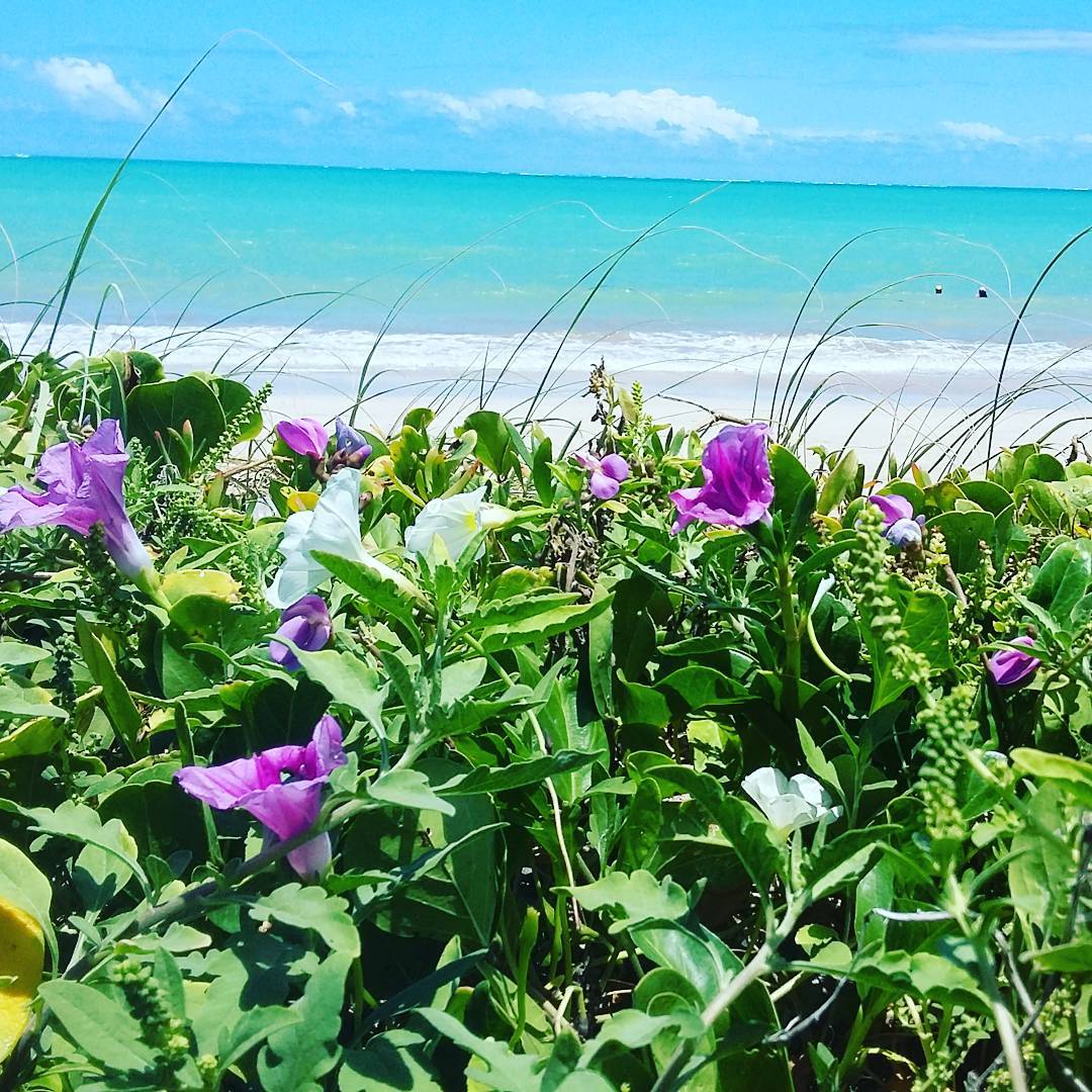 Praia do Burgalhau
