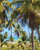 Praia do Camacho / Oiapoque