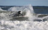 Praia do Cambury