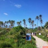 Praia do Forte / Oiapoque