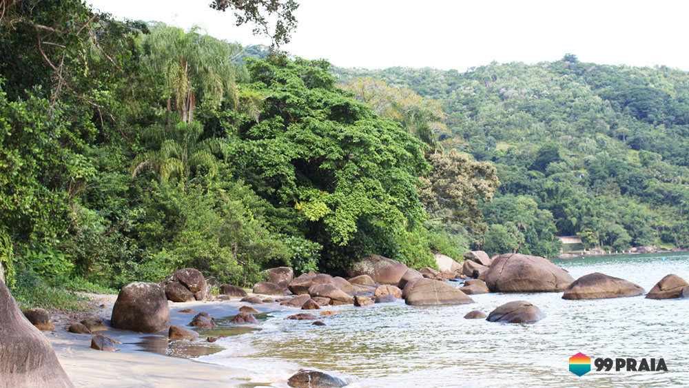  Praia do Oeste / Oiapoque