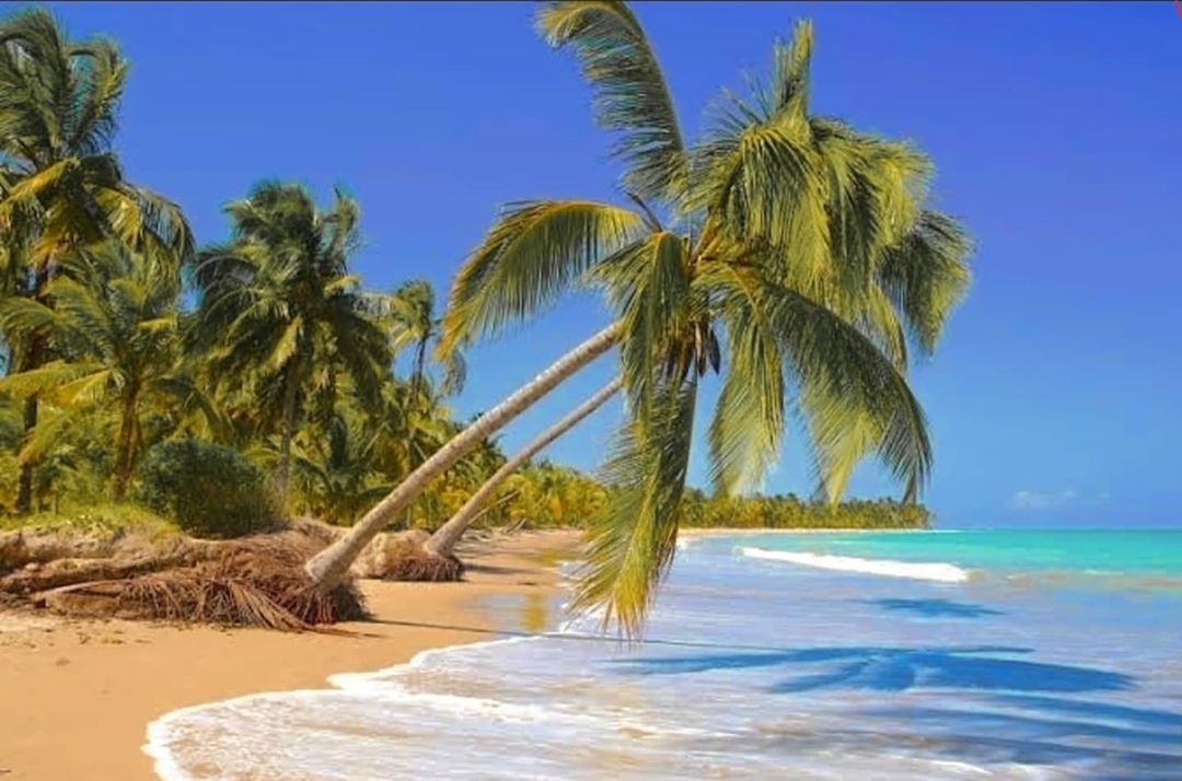  Praia do Patacho / Oiapoque