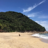 Praia do Sununga / Oiapoque