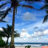 Praia do Tombo / Oiapoque
