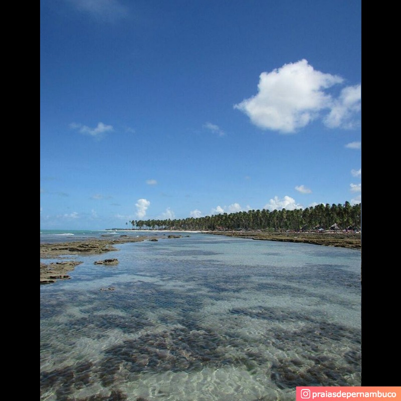 Praia dos Carneiros