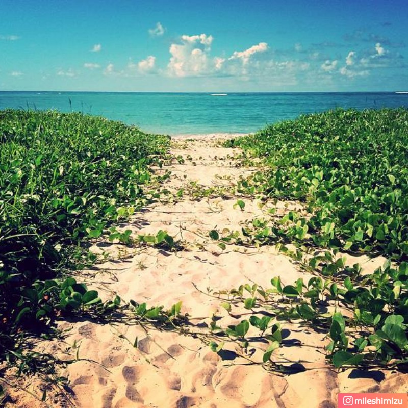 Praia dos Carneiros