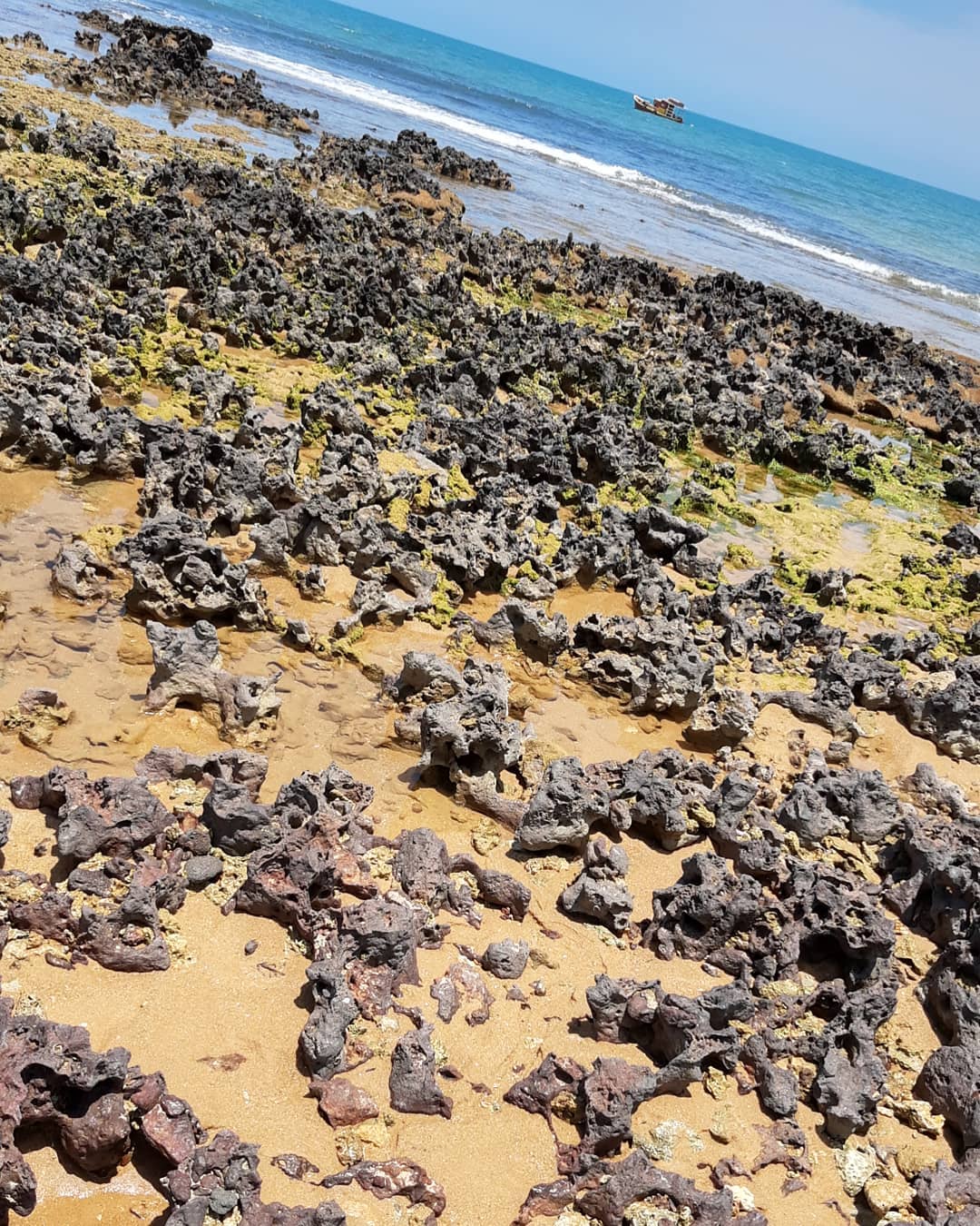  Praia dos Castelhanos / Oiapoque