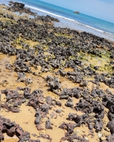 Praia dos Castelhanos